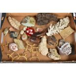 A BOX OF FOSSILS, COMPACT AND SMOKING PIPE, to include pieces of coral, quartz, a carved stone