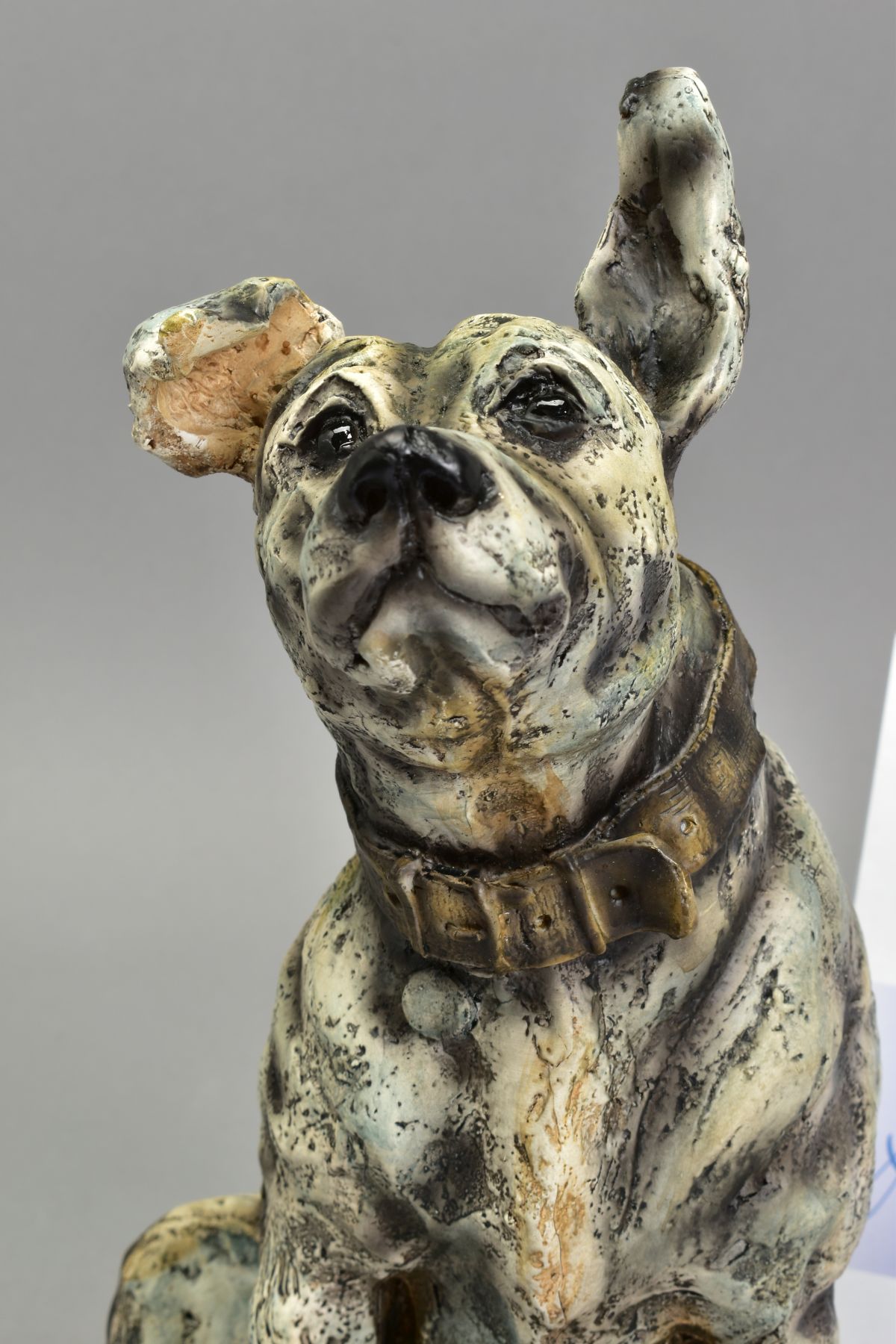 APRIL SHEPHERD (BRITISH CONTEMPORARY) 'EVER HOPEFUL', a limited edition cold case sculpture of a Dog - Bild 2 aus 5