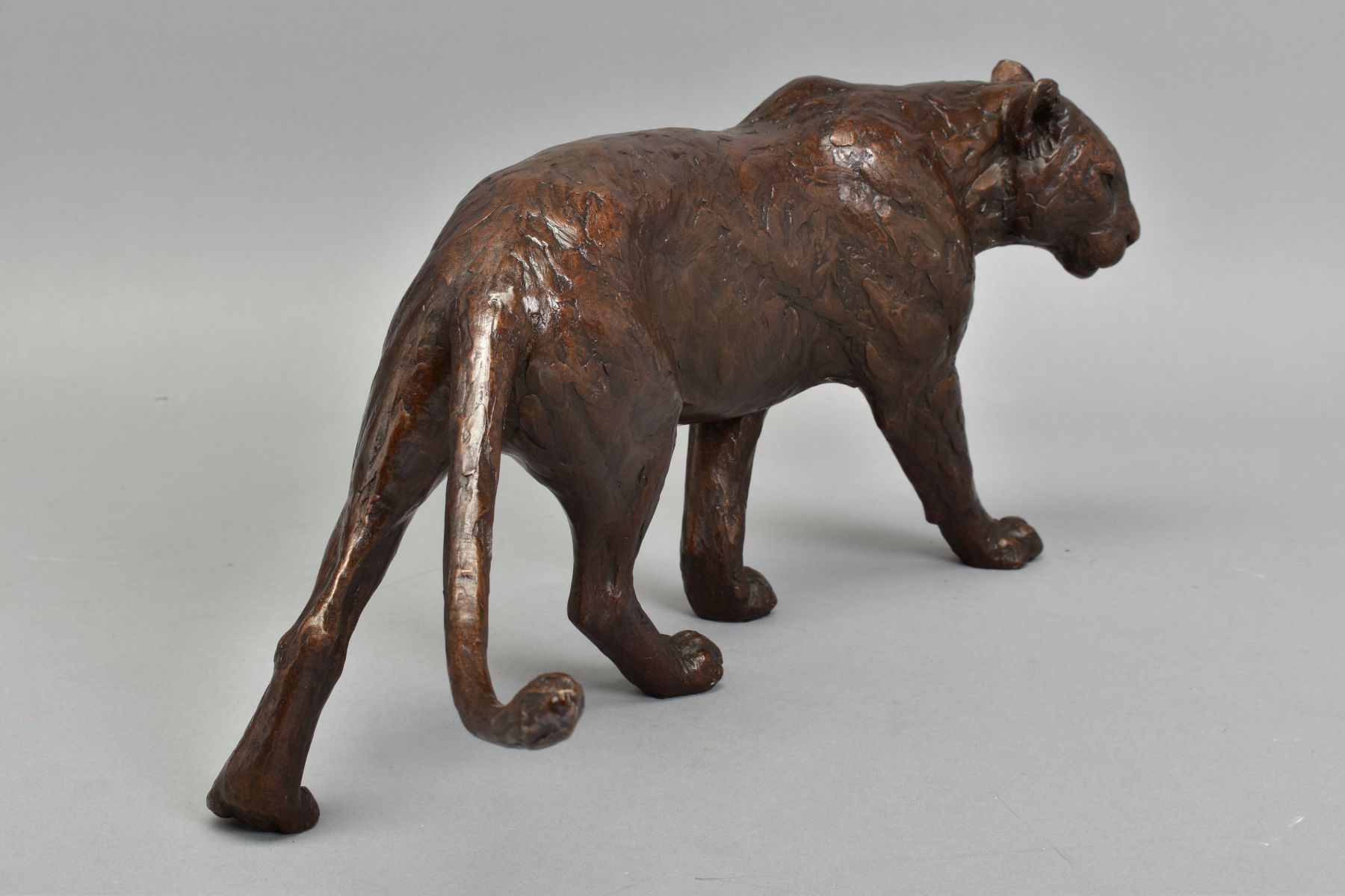 MICHAEL SIMPSON (BRITISH CONTEMPORARY) 'BIG SHOT', an artist proof bronze sculpture of a Lioness. - Bild 4 aus 5