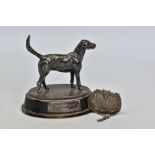 A GEORGE V SILVER FIGURE OF A FOXHOUND STANDING, on an oval base mounted on an ebonised wooden