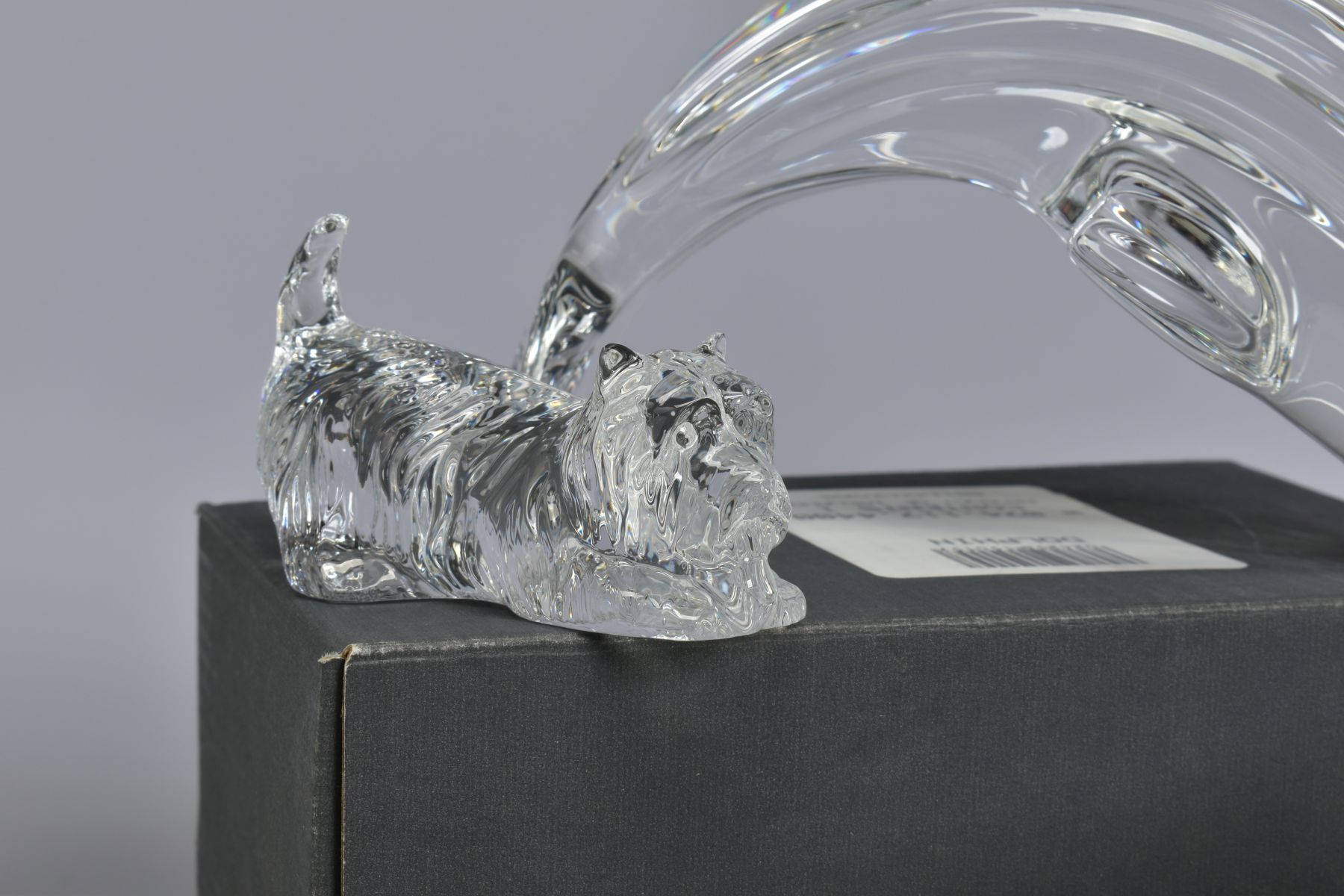 A GROUP OF WATERFORD CRYSTAL ANIMAL FIGURES, comprising recumbant lion, length 17.5cm, boxed - Bild 4 aus 11