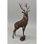 MICHAEL SIMPSON (BRITISH CONTEMPORARY) 'MONARCH-STAG' A limited edition Bronze sculpture of Deer