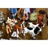 SEVEN BESWICK SMALL DOG FIGURES, comprising two Springer Spaniels, a Jack Russell, a Beagle (Ch.