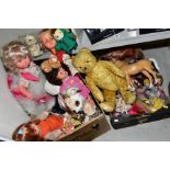 TWO BOXES AND LOOSE OF DOLLS, TOYS AND SOFT TOYS, including a wood straw filled growler bear