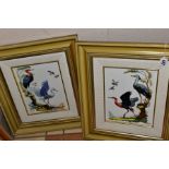 TWO HAND PAINTED PORCELAIN PLAQUES depicting wading birds, signed 'Algora' to the front, printed