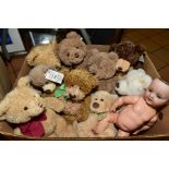 NINE ST GILES HOSPICE TEDDY BEARS MANUFACTURED BY GUND, together with a Koppelsdorf 996 bisque