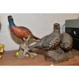 A SPODE BONE CHINA COCK PHEASANT with painted decoration, small chip to tail, approximate height