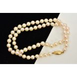 A CULTURED PEARL STRAND NECKLACE, each pearl between approximately 6.0mm and 6.4mm, fitted to a
