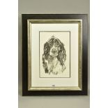 APRIL SHEPHERD (BRITISH CONTEMPORARY) 'SPRINGER SPANIEL IV' a charcoal on paper study of a