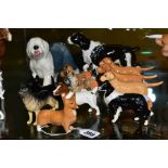 TWELVE BESWICK DOGS, comprising Corgi No. 1736, Sheepdog No. 1854, three Labradors No. 1956, Jack