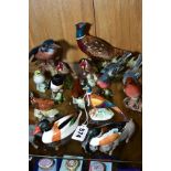 A GROUP OF BESWICK BIRDS, comprising Pheasant No 767A, Robin, No 980B, Chaffinch No 991B, two
