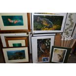 A COLLECTION OF FISHING THEMED PRINTS to include signed prints by Mark A Sussino, K Vaudin, A