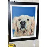 CAROL GILLAN (BRITISH 1961) 'BUSHY TAILED', a limited edition print of a golden retriever 6/95,