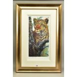 ROLF HARRIS (AUSTRALIAN 1930) 'ALERT FOR PREY' a limited edition print of a Leopard 31/195, signed