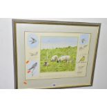 BRUCE EDWARD PEARSON (BRITISH 1950) 'APRIL RSPB BIRDS CALENDAR 1995', sheep, yellow wagtails, swifts