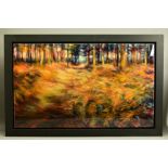 NICK ANDREW (BRITISH CONTEMPORARY) 'TYLARIA', an impressionist woodland landscape, signed bottom