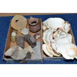 TWO BOXES OF FOSSILS, SCALLOP SHELLS, amethyst crystals, souvenir type carving, pottery etc, (2