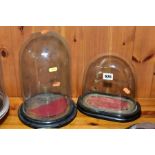 TWO VICTORIAN GLASS DOMES ON EBONISED STANDS, one of oval form, height 22.5cm x width of base 23cm