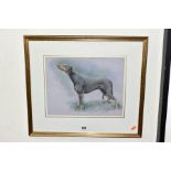 JOHN HALLETT (BRITISH 20TH CENTURY), a portrait of a Doberman Pinscher drawn in profile, signed