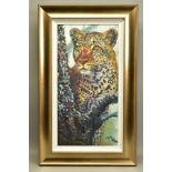 ROLF HARRIS (AUSTRALIAN 1930) 'Alert for Prey', a limited edition print of a Leopard 116/195, signed