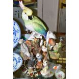 EIGHT CROWN STAFFORDSHIRE/CROWN STAFFS BIRD FIGURES AND A BESWICK WHITETHROAT, model No2106, chipped