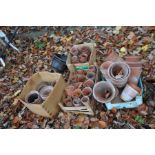 A COLLECTION OF VINTAGE TERRACOTTA POTS in four trays