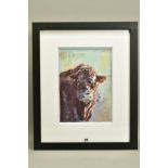 JAMES BARTHOLOMEW (BRITISH CONTEMPORARY) 'Red Ruby Devon' a portrait of a cow, signed bottom