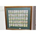 A SET OF FIFTY REPRINT PROMINENT GOLFER CIGARETTE CARDS, mounted and framed, after the originals