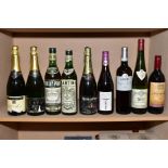 ALCOHOL, a collection of nine bottles of Wine, Cava and Martini including a bottle of Pol Aine