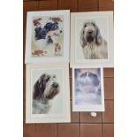 LIMITED EDITION DOG PRINTS, comprising 'White and Orange Italian Spinone' and 'Brown Roan Italian