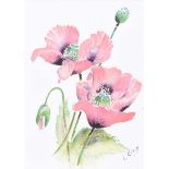 Lorraine Kidd - STILL LIFE, PINK POPPIES - Watercolour Drawing - 12 x 9 inches - Signed