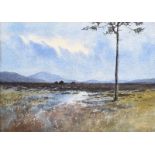 William Percy French - TREE, TURF STACKS & BOGLANDS, CONNEMARA - Watercolour Drawing - 6.5 x 9