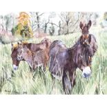 Cormac Cullinan - DONKEYS AT LOUGH MEELAGH - Watercolour Drawing - 15 x 19.5 inches - Signed