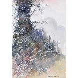 Martin D. Cooke - TREE & WILD BUSHES - Watercolour Drawing - 6 x 4.5 inches - Signed