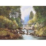 Dennis Orme Shaw - BRIDGE IN TOLLYMORE FOREST - Oil on Canvas - 18 x 24 inches - Signed