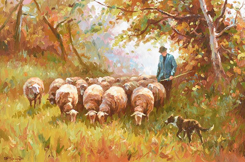 Donal McNaughton - DRIVING SHEEP - Oil on Board - 16 x 24 inches - Signed