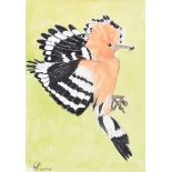 Lynda Cookson - HOOPOE - Watercolour Drawing - 11 x 7 inches - Signed
