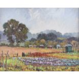 James P. Chettle - THE CABBAGE PATCH - Oil on Canvas - 16 x 20 inches - Signed