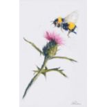 Lawrence Chambers - THISTLE & BEE - Pastel on Paper - 11 x 7 inches - Signed