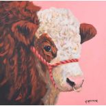 Ronald Keefer - BULL ON PINK - Oil on Board - 24 x 24 inches - Signed