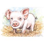 Andy Saunders - WEE PIGGY - Watercolour Drawing - 8 x 10 inches - Signed