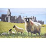 Keith Glasgow - SHEEP AT DUNLUCE CASTLE - Coloured Print - 12 x 18 inches - Unsigned