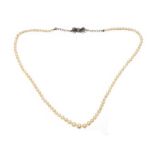 MINIATURE CULTURED PEARL NECKLACE WITH SILVER MARCASITE-SET CLASP