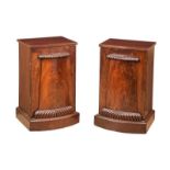 PAIR OF REGENCY BEDSIDE PEDESTALS