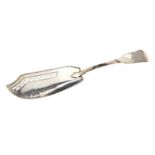 SILVER FISH SLICE