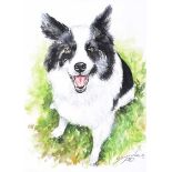 Andy Saunders - SHEEPDOG - Watercolour Drawing - 7 x 5 inches - Signed