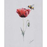 Lawrence Chambers - POPPY & BEE - Pastel on Paper - 9 x 7.5 inches - Signed