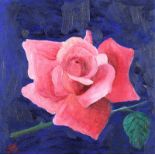 Silvia Stori - PINK ROSE - Oil on Canvas - 8 x 8 inches - Signed in Monogram