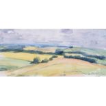 Hilary Bryson - COUNTY DOWN LANDSCAPE - Watercolour Drawing - 6.5 x 14 inches - Signed