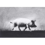 Ross Wilson, ARUA - MIDNIGHT PIG - Charcoal on Paper - 6 x 8 inches - Signed